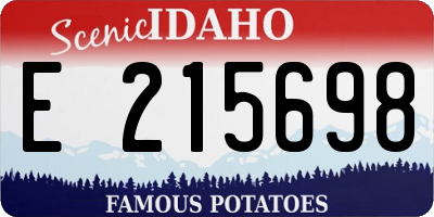ID license plate E215698