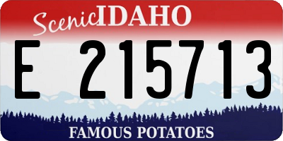 ID license plate E215713