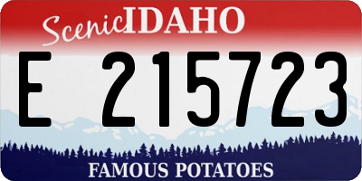 ID license plate E215723