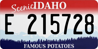 ID license plate E215728