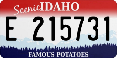 ID license plate E215731