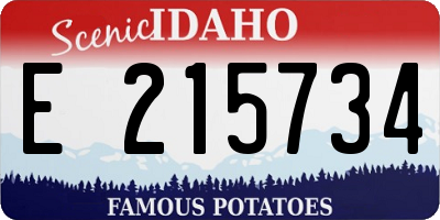 ID license plate E215734