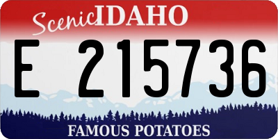 ID license plate E215736