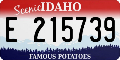 ID license plate E215739