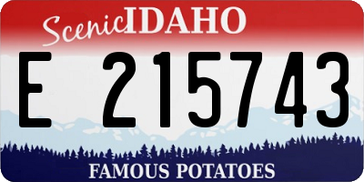ID license plate E215743