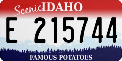 ID license plate E215744