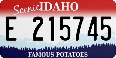 ID license plate E215745