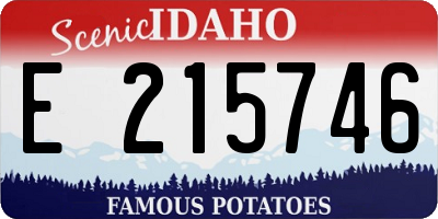 ID license plate E215746