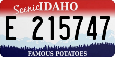 ID license plate E215747