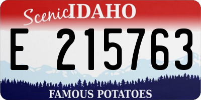 ID license plate E215763