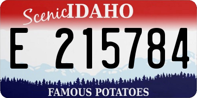 ID license plate E215784