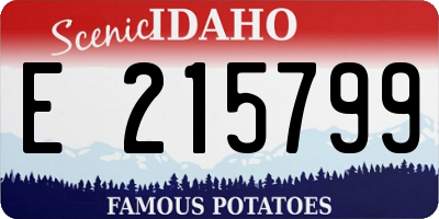 ID license plate E215799