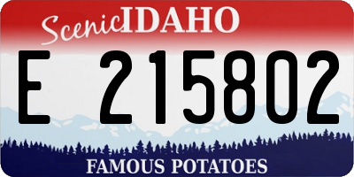 ID license plate E215802