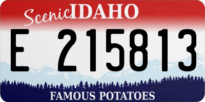 ID license plate E215813