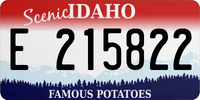 ID license plate E215822