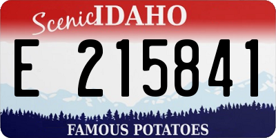 ID license plate E215841