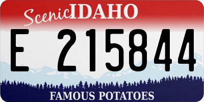 ID license plate E215844