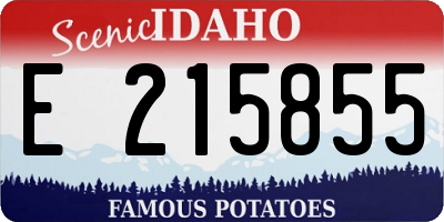 ID license plate E215855