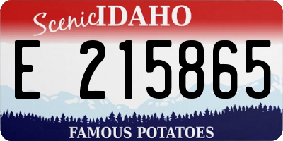 ID license plate E215865
