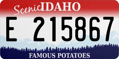 ID license plate E215867