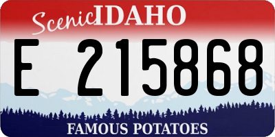 ID license plate E215868