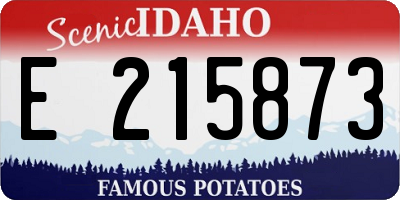 ID license plate E215873