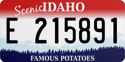 ID license plate E215891