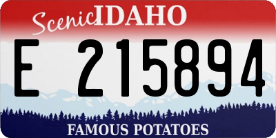 ID license plate E215894