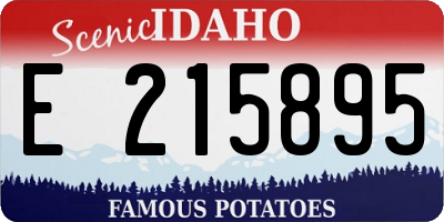 ID license plate E215895