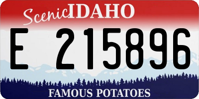 ID license plate E215896