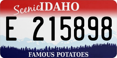 ID license plate E215898
