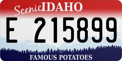 ID license plate E215899