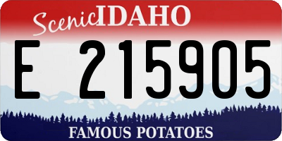 ID license plate E215905