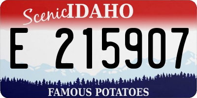 ID license plate E215907