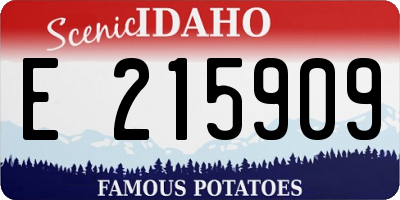 ID license plate E215909