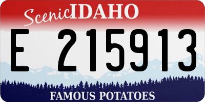 ID license plate E215913
