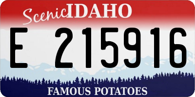 ID license plate E215916