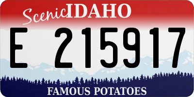 ID license plate E215917