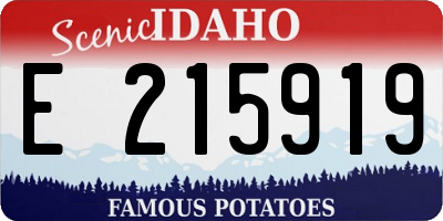 ID license plate E215919