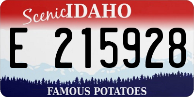 ID license plate E215928