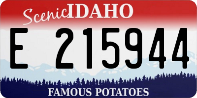 ID license plate E215944