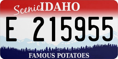 ID license plate E215955