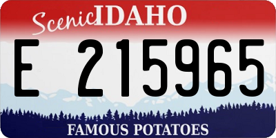 ID license plate E215965
