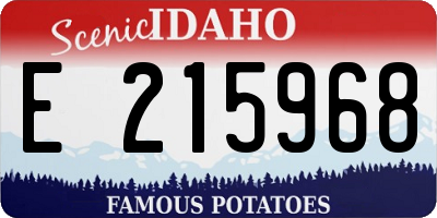 ID license plate E215968