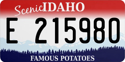 ID license plate E215980