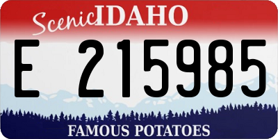 ID license plate E215985