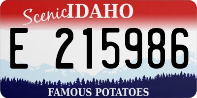 ID license plate E215986