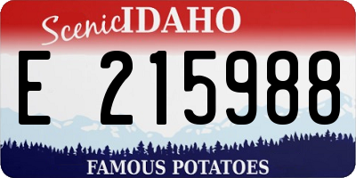 ID license plate E215988