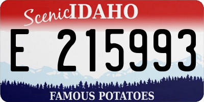 ID license plate E215993