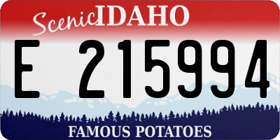 ID license plate E215994